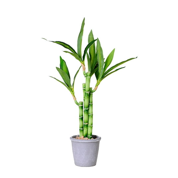 Twfbrm Artificial Bamboo Tree Decor, 18 inch Realistic Plastic Lucky Bamboo Plants in Terracotta Pot, UV Resistant Decorative Greenery Bonsai Faux Potted Plants Indoor for Home Office Desk Shelf