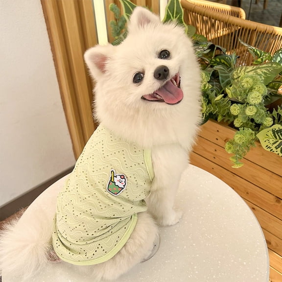 Twfbrm Dog Clothes for Small Medium Dogs Girl Cat Tee Shirt Spring Summer Animal Clothes Puppy Outfits Ruffle Short Sleeve Doggy Shirts Pet Outfit