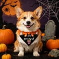 thumbnail image 1 of Twfbrm Halloween Dog Bandanas, Ghost & Bat Print Triangle Fabric Pet Scarf for Boys and Girls, Adjustable Reversible Neckerchief Washable Puppy Bibs Halloween Pet Costume for Cats and Dogs, 1 of 6