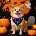 thumbnail image 1 of Twfbrm Halloween Dog Bandanas, Ghost & Bat Print Triangle Fabric Pet Scarf for Boys and Girls, Adjustable Reversible Neckerchief Washable Puppy Bibs Halloween Pet Costume for Cats and Dogs, 1 of 6