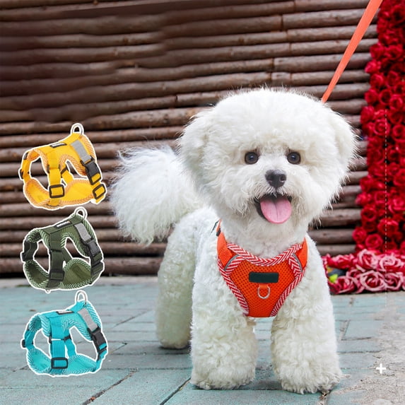 Twfbrm No-Pull Dog Harness and Leash Set, Step in Soft Breathable Mesh Pet Harness with Reflective Strip, Adjustable No-Choke Padded Puppy Vest Easy Control Pet Vest for Daily Walking and Training
