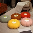 thumbnail image 1 of Twfbrm Pumpkin Seat Cushion, 3D Teddy Fleece Pumpkin Shaped Throw Pillow, Soft Thicken Stuffed Pumpkin Chair Cushion, Autumn Decorative Floor Pillow Halloween Fall Decorations for Home Tatami Couch, 1 of 6