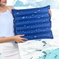 thumbnail image 1 of Twfbrm Summer Ice Cushion Cool Ice Pillows Cushion,Water Filling Ice Cushion Chair Pad, Water Filling Ice Cushion Chair Pad,Pet Cushion,Beaches Cushion,Car Cushion,Office Cushion, 1 of 6