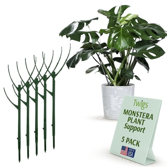 Twigs Ga Stackable Plant Support Monstera Green 5 Pack 17"