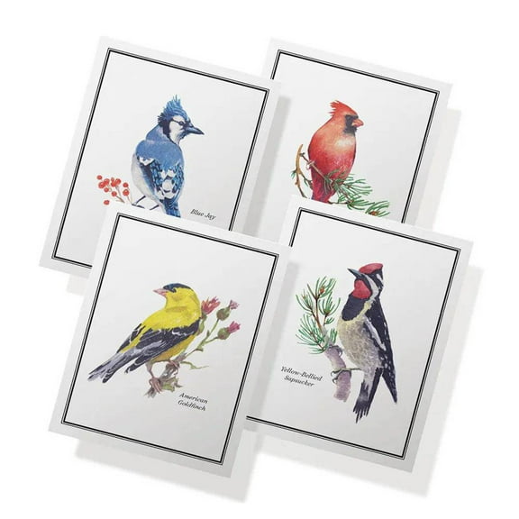 Twigs Paper - American Birds Note Cards - Set of 12 Blank Assorted Greeting Cards With Envelopes (5.5 x 4.25 Inch) - 100% Eco Friendly Stationery - Made In USA