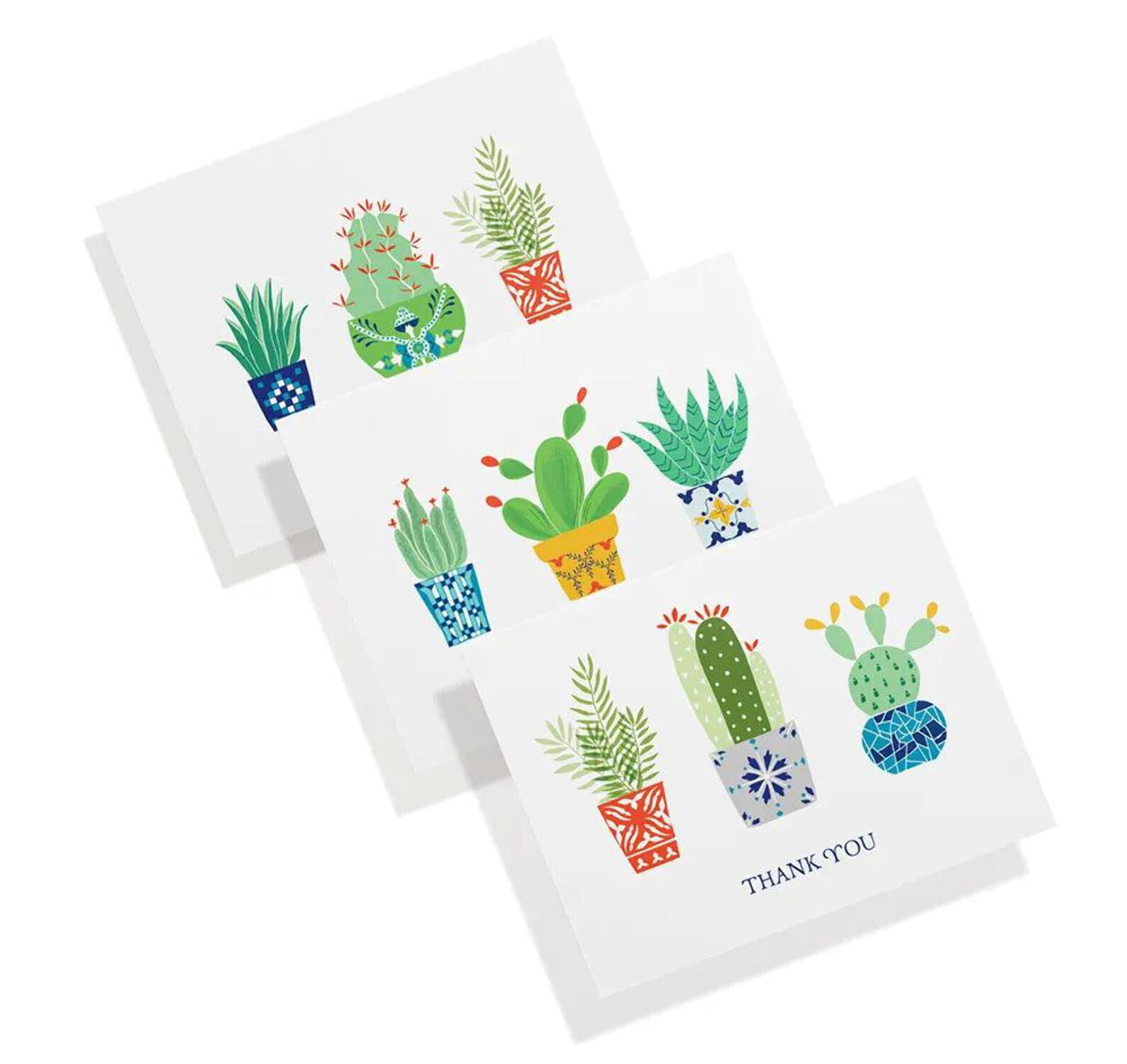 Twigs Paper - Cactus Thank You Note Card Set - 12 Assorted Blank Cards ...