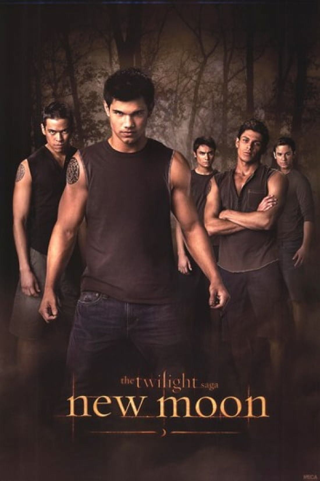 Twilight 2 New Moon Wolf Pack Laminated Poster (24 x 36)
