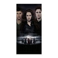 thumbnail image 1 of Twilight 200PCS Wooden Puzzles, 1 of 7