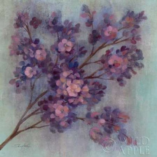 Twilight Cherry Blossoms I Canvas Art - Silvia Vassileva (24 x 24)