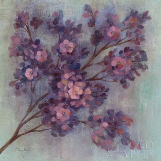 Twilight Cherry Blossoms I Canvas Art - Silvia Vassileva (24 x 24)