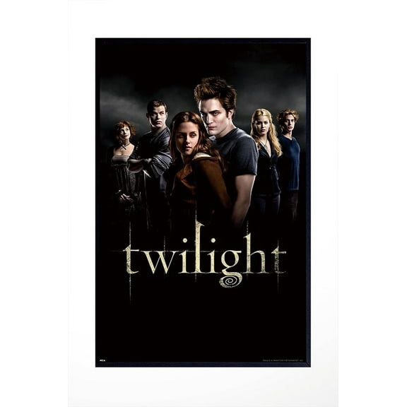 Twilight Group Cast Vampire Drama Romance Fantasy Movie Film Print - Matte Poster Frameless Gift 12 x 18 inch30cm x 46cm