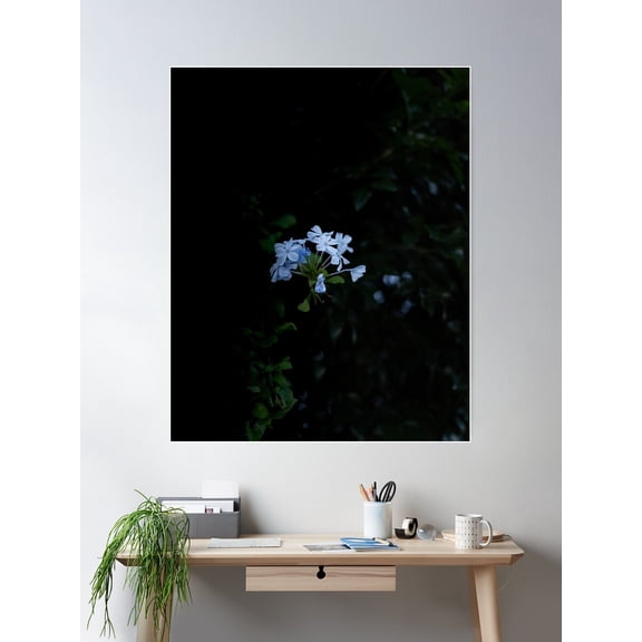 Twilight Poster Wall Art, Modern Wall Decor For Living Room Bedroom, 16x24 UNFRAMED