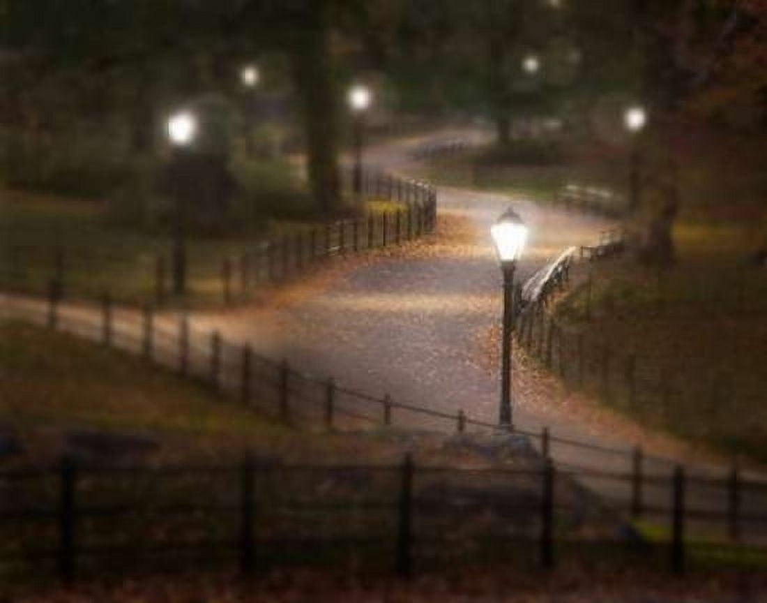 Twilight Stroll Canvas Art - Natalie Mikaels (24 x 30)