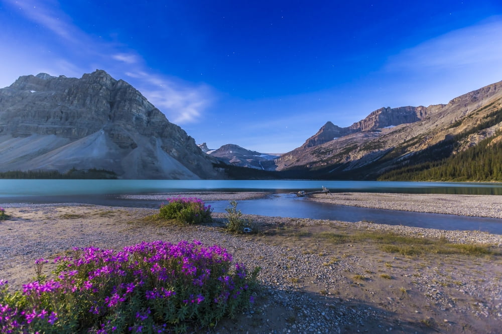 Twilight on Bow Lake Banff National Park Canada Canvas Art - Alan DyerStocktrek Images (17 x 12)