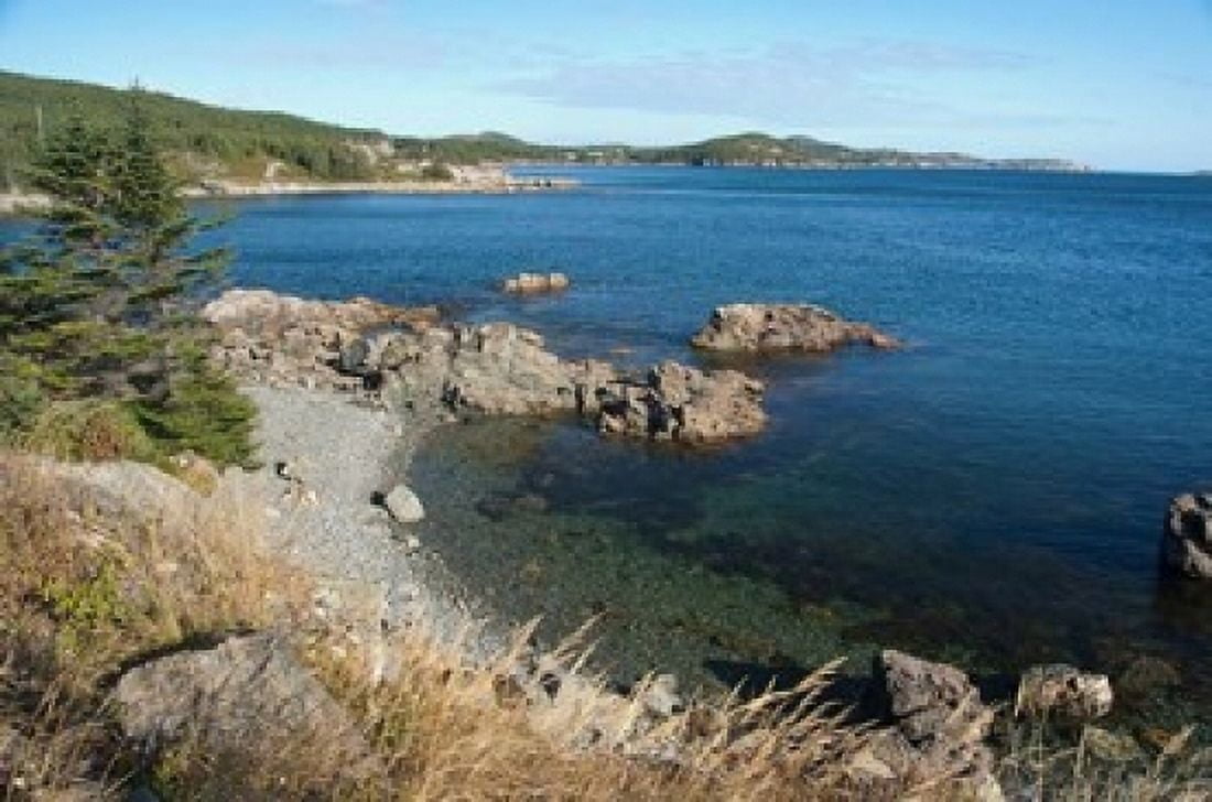 Twillingate Coastline Canvas Art - Cindy Miller Hopkins DanitaDelimont (36 x 24)