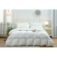 thumbnail image 1 of Twin Ducks Inc  Catania White Goose Down Comforter Lightweight Twin 64" x88", 1 of 2