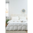 thumbnail image 1 of Twin Ducks Inc Perugia European White Down Comforter by  All Season King 102"x90", 1 of 2
