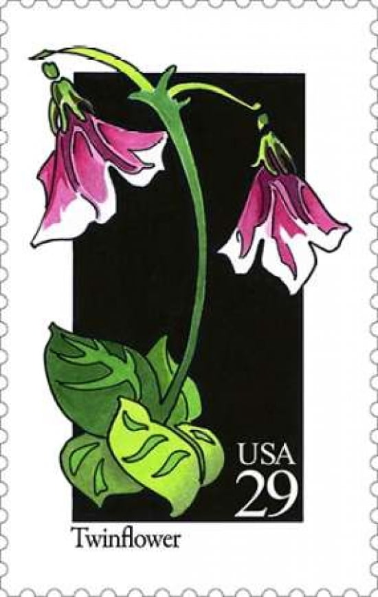 Twin Flower Canvas Art - US POSTAL SERVICE (24 x 36)