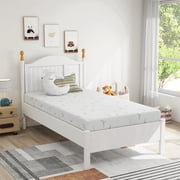 Twin Mattress,Beddle 6 inch Memory Foam Mattress Bed in a Box,Medium Firm with Soft Bamboo Cover