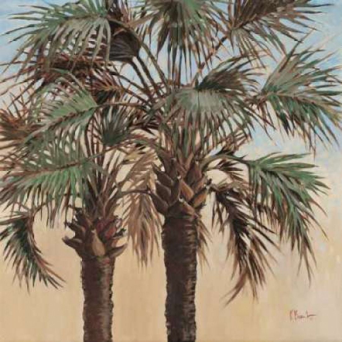 Twin Palms Canvas Art - Paul Brent (24 x 24)