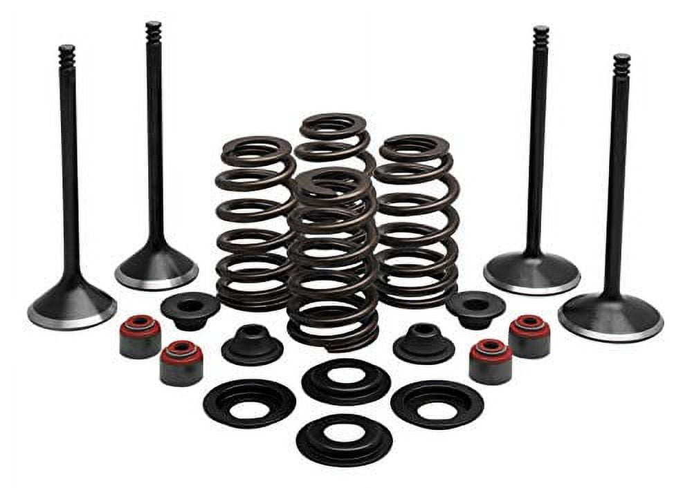 Twin Power Complete Valve &, Spring Kit T2021030