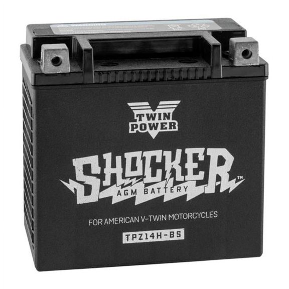 Twinpower 781151 TWP Shocker Batteries