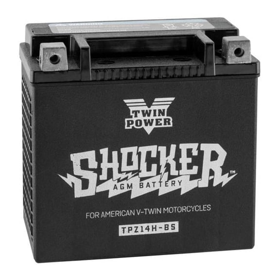 Twinpower 781151 TWP Shocker Batteries