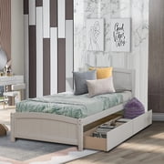 Twin Size Platform Bed with 2 Stoarge Drawers, No Box Spring Needed, Twin Size Bed Frame with Headboard and Footboard White