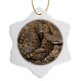 thumbnail image 1 of 3drose, Twin-spotted Rattlesnake, Se Arizona - Na02 Dno0765 - David Northcott, 3 inch Snowflake Porcelain Ornament, 1 of 7