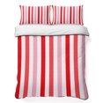 thumbnail image 1 of Twin XL Quilt Set 68''x98'', Red Pink Stripe Lightweight Summer Bedspread Coverlet Set with 2 Pillow Shams, Geometric White Vertical Striped Breathable All Season Quilt Bedding for Dorm/Guest Room, 1 of 9