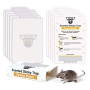 TwinTech Mouse Glue Boards, Pro Strength | Ready-to-Use Adhesive Traps | Pro-Scented Adhesive | Indoor Use | 72 Count