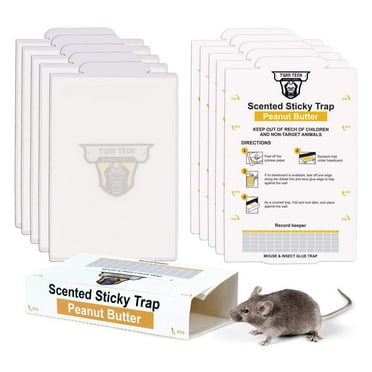 TwinTech Glue Mouse Trap for Indoor Home Use | Non-Toxic Glue Traps for Mice and Insects | Natural Peanut Butter Scent | Extra Strength Pre-Baited Rodent Sticky Traps | 72-Pack