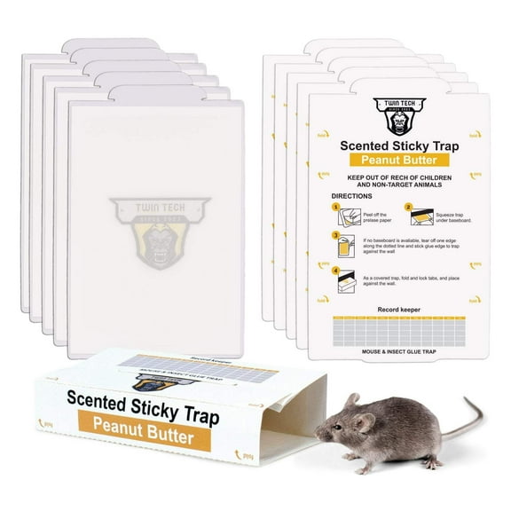 TwinTech Glue Mouse Trap for Indoor Home Use | Non-Toxic Glue Traps for Mice and Insects | Natural Peanut Butter Scent | Extra Strength Pre-Baited Rodent Sticky Traps | 72-Pack
