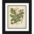 thumbnail image 1 of Twining, Elizabeth 26x32 Black Ornate Wood Framed with Double Matting Museum Art Print Titled - Twining Botanicals VI, 1 of 4