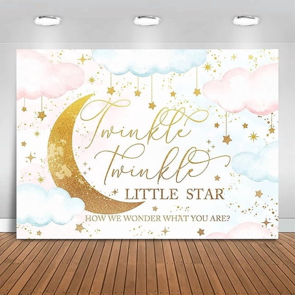 Twinkle Twinkle Little Star Gender Reveal Backdrop Pink or Blue How We Wonder What You are Background Moon and Stars Boy or Girl Gender Reveal Party Decorations Banner Photo Booth Props