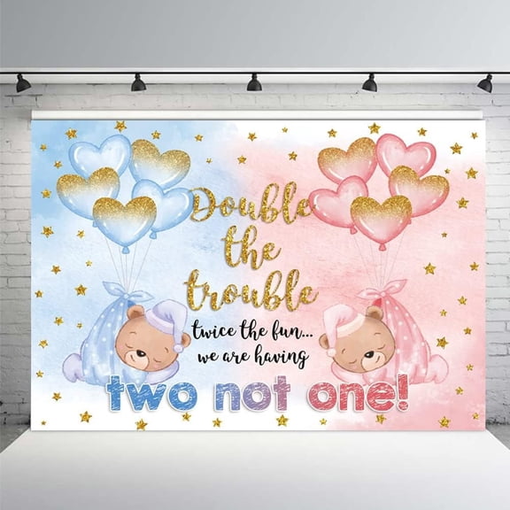 It's Twins Bears Backdrop Double The Trouble Twice The Fun It's Twins Baby Shower Background Pink Blue Gender Reveal Party Decorations Banner Photo Props