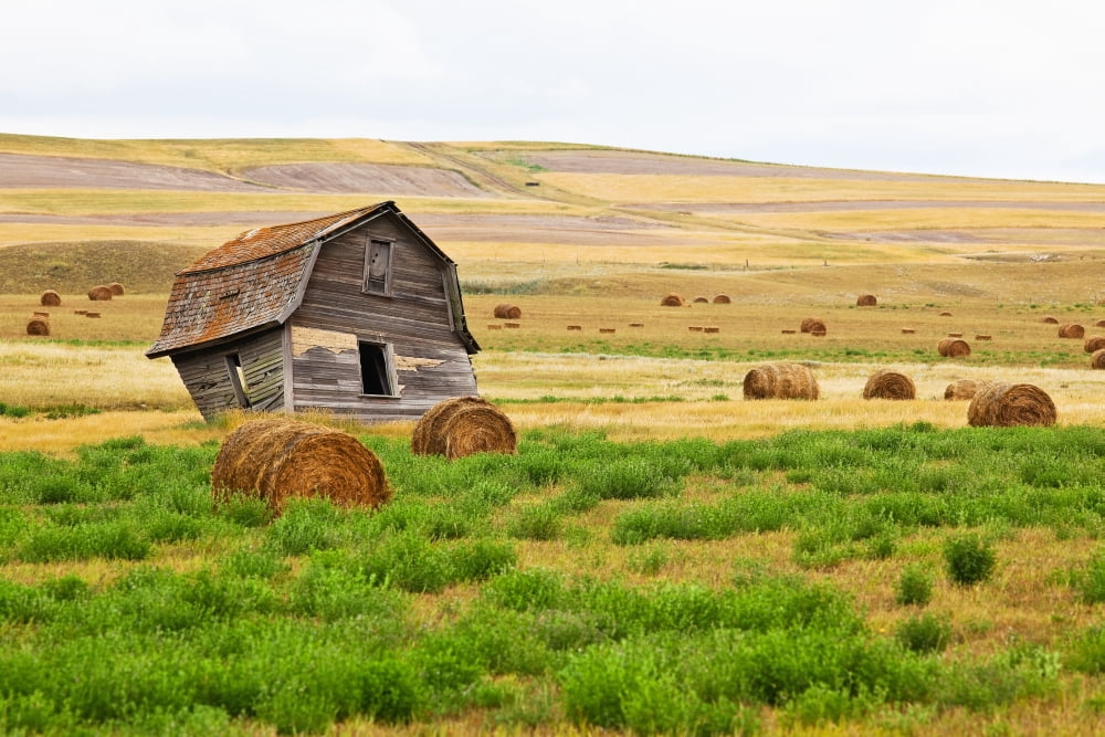 Twisted Barn On Canadian Prairie Big Muddy Badlands Saskatchewan Canvas Art - Ken Gillespie Design Pics (17 x 11)