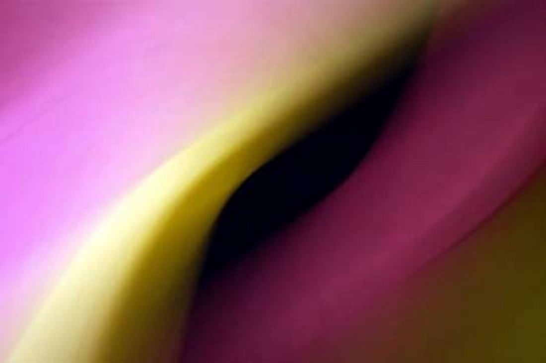 Twisted Beams I Canvas Art - Douglas Taylor (24 x 36)