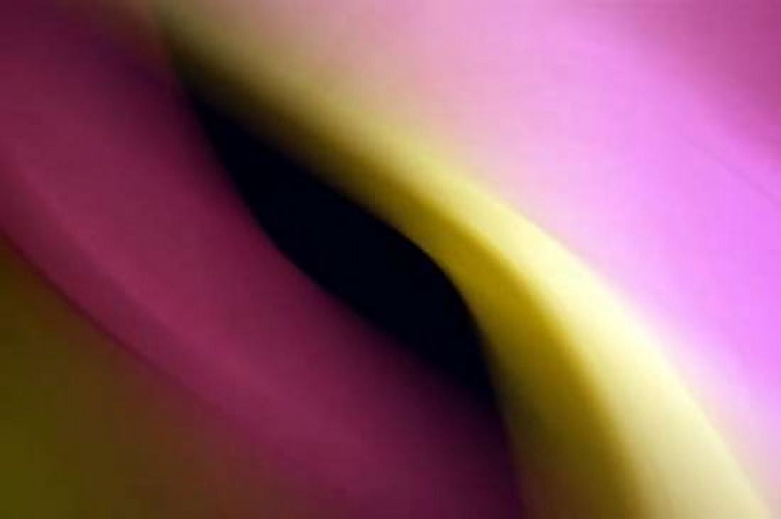 Twisted Beams II Canvas Art - Douglas Taylor (24 x 36)