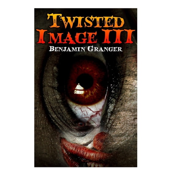 Twisted Image III (Paperback)