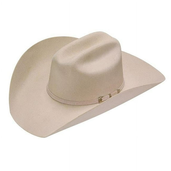 Twister 2X Wool Silver Belly Western Hat T75250277