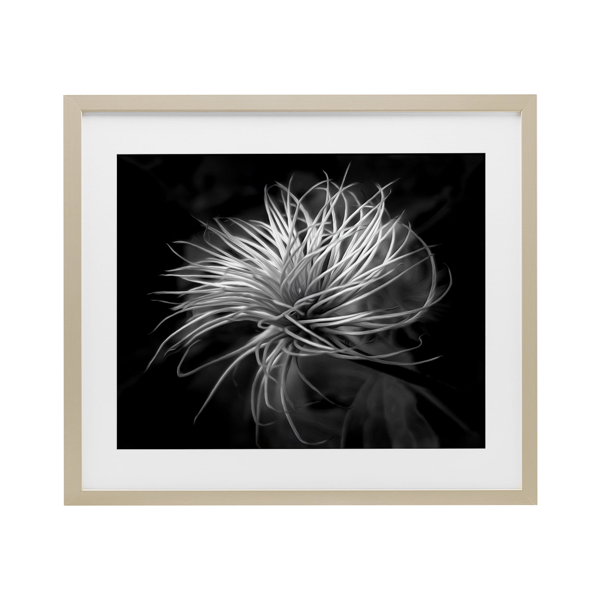 Twisting Botanical Leaves Contrast Birch Framed Print Under Glass, design by Phillip Flowers