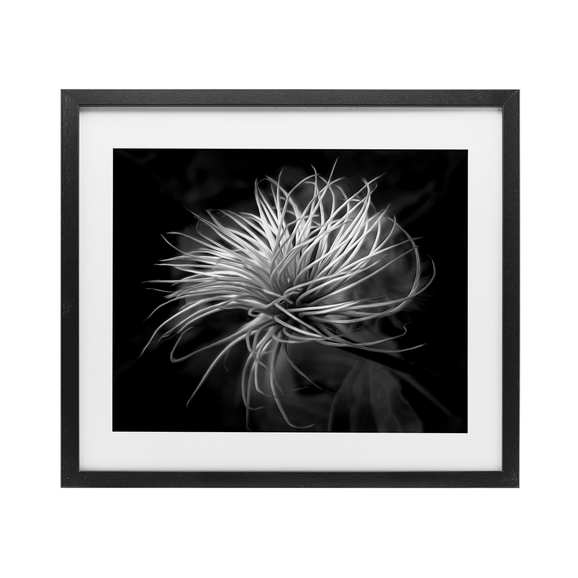 Twisting Botanical Leaves Contrast Black Framed Print Under Glass, design by Phillip Flowers