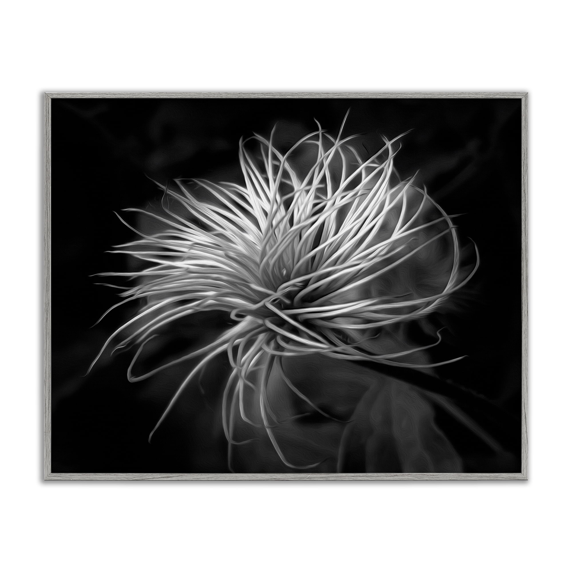 Twisting Botanical Leaves Contrast Gray Framed Giclee Art, design by Phillip Flowers