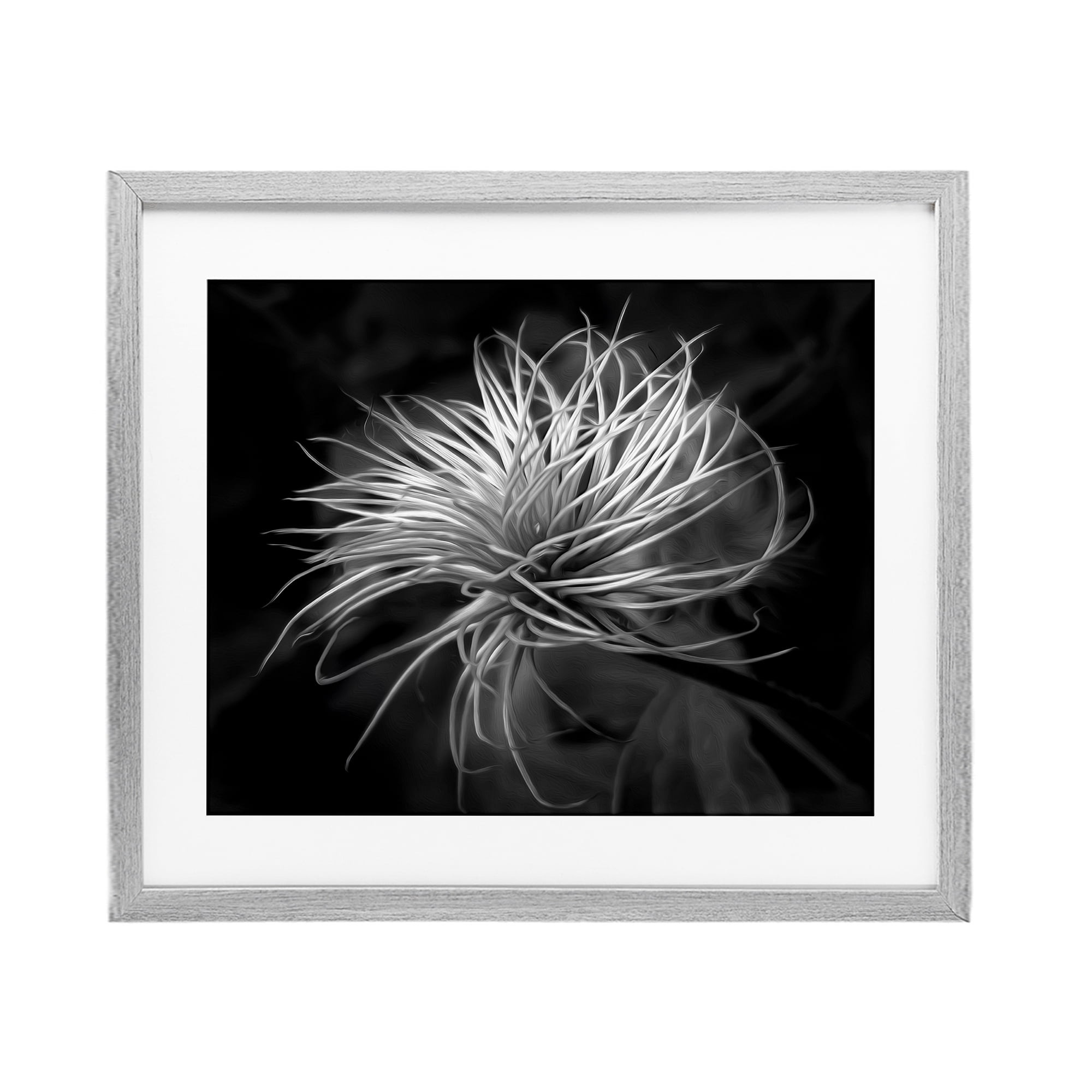 Twisting Botanical Leaves Contrast Gray Framed Print Under Glass, design by Phillip Flowers