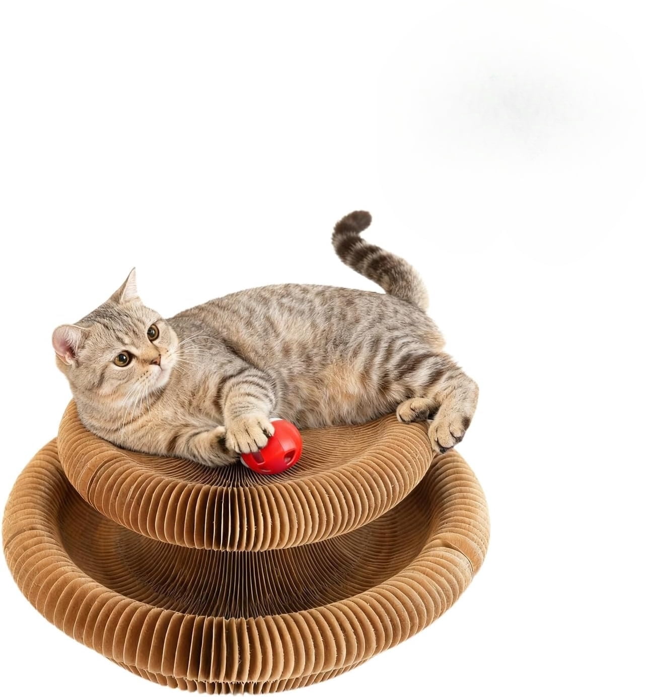 Cat Toy,Organ Kitty Scratching Board,2-in-1 Indoor Cat Scratcher & Toy,Reversible Infinity Interactive Cats Cardboard Kitten Scratcher Pads for Indoor Cats