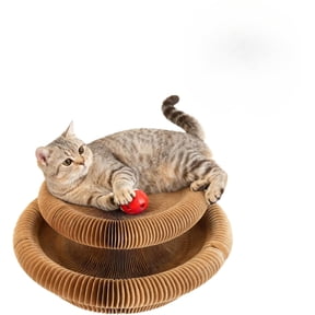 Cat Toy,Organ Kitty Scratching Board,2-in-1 Indoor Cat Scratcher & Toy,Reversible Infinity Interactive Cats Cardboard Kitten Scratcher Pads for Indoor Cats