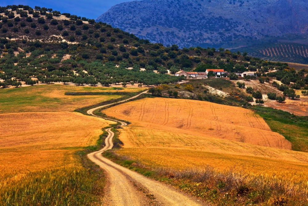 Twisty road Near Casabermeja Malaga Province Andalusia Spain Canvas Art - Panoramic Images (36 x 12)