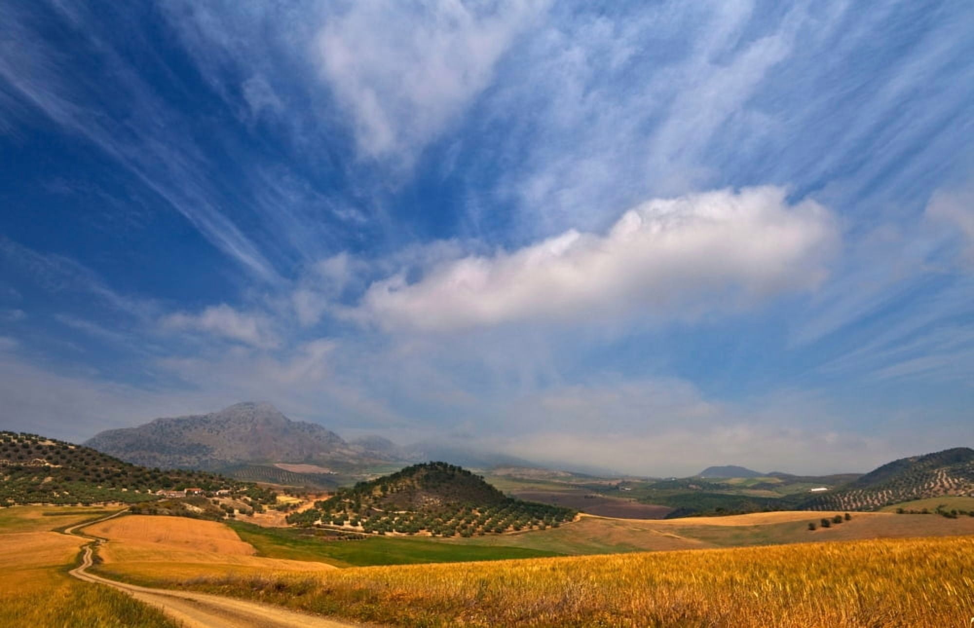 Twisty road Near Casabermeja Malaga Province Andalusia Spain Canvas Art - Panoramic Images (36 x 24)