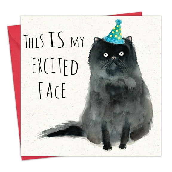 Twizler Funny Birthday Card Cat - Humor Happy Birthday Greeting Card for Women or Men - Cat Card for Her or Him